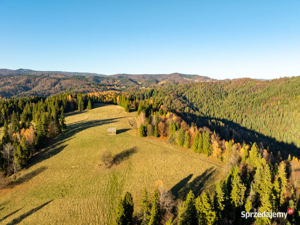 Działka z widokiem na Tatry Knurów 71 arów małopolskie