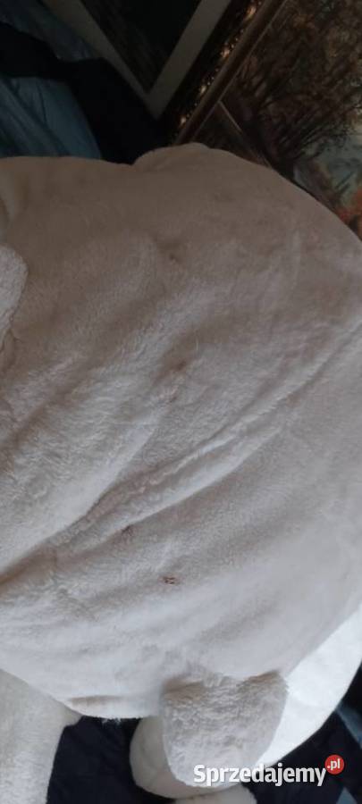 NIEDŻWIEDZIE POLARNE WIELKI CIĘŻKI MIĘKKI I 2 3m+ wielkopolskie Poznań sprzedam