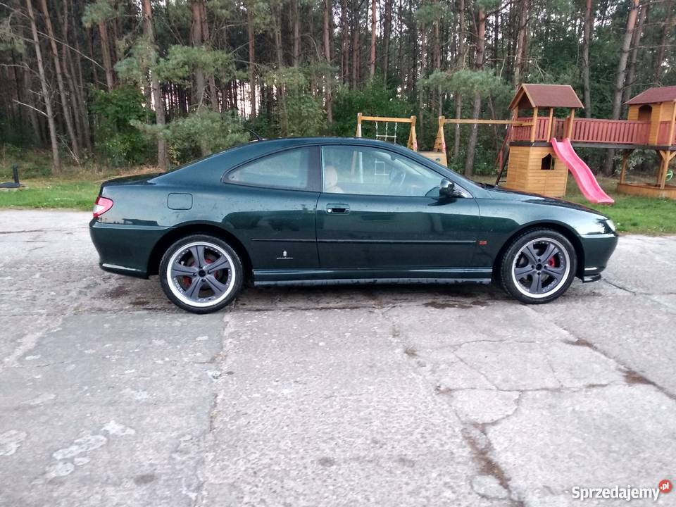 Peugeot 406 vin