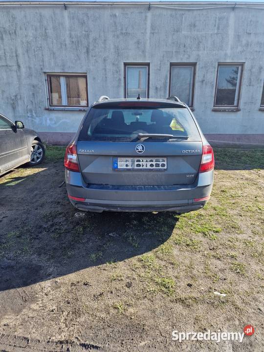 Skoda Octavia 20 TDI DSG Drive 4x4 150 2017 automatyczna Rydzyna