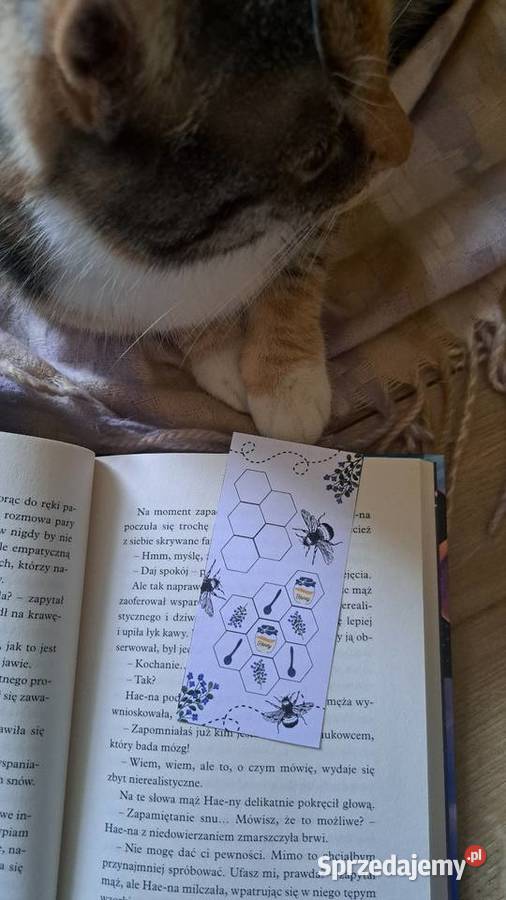 Zakładki wielkopolskie Żelazków