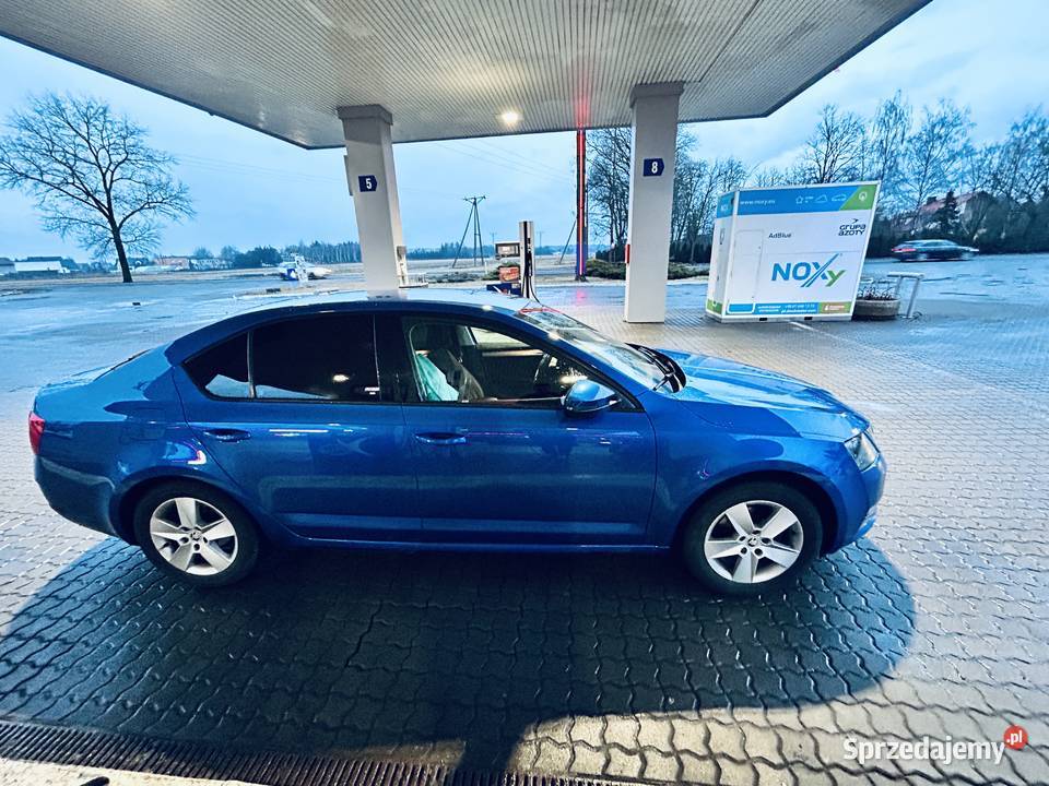 Ladna Skoda Octavia Inowrocław