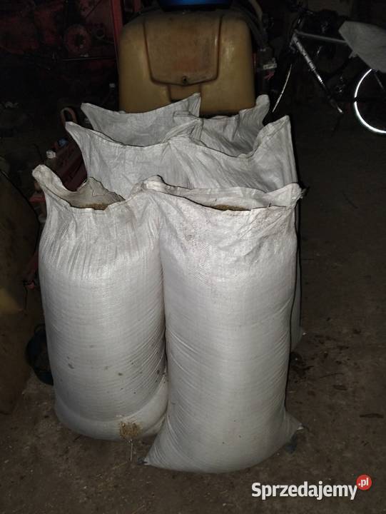 Sprzedam owies centrali