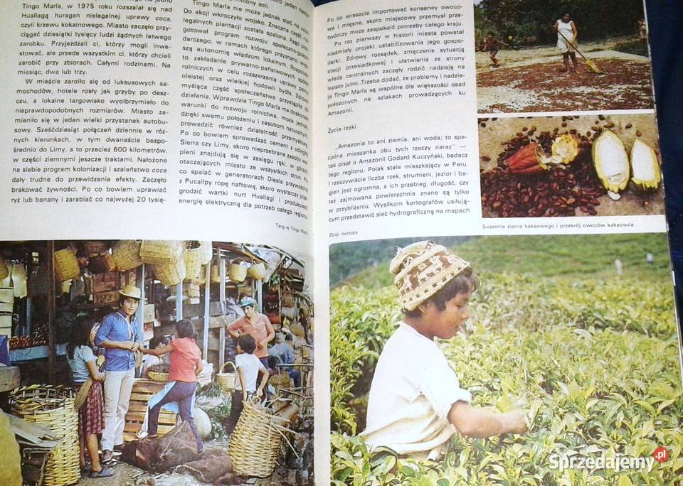 Amazonia Ani Ziemia ani woda Andrzej Dembicz Chełm