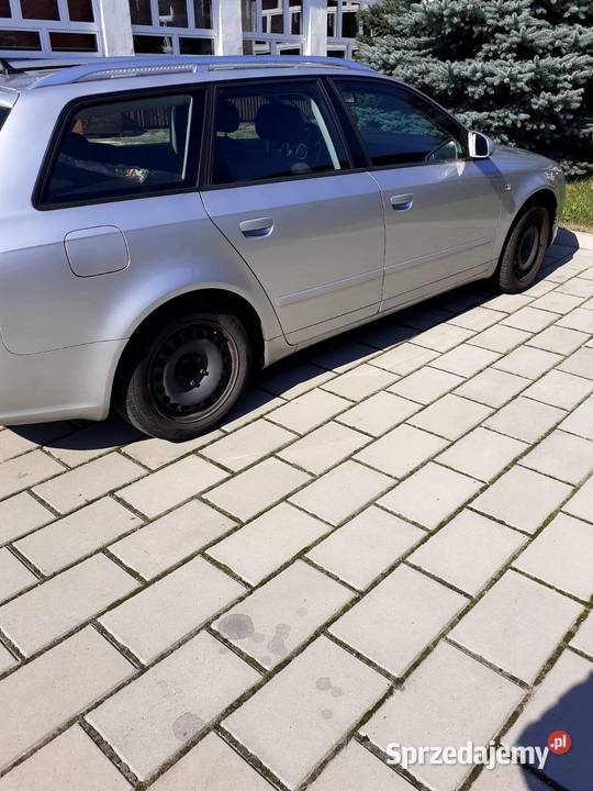 Audi A3 8E Rybnik