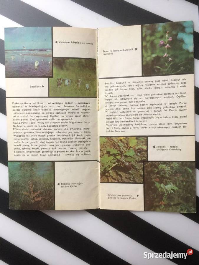 3562 Woliński Park Narodowy Szczecin