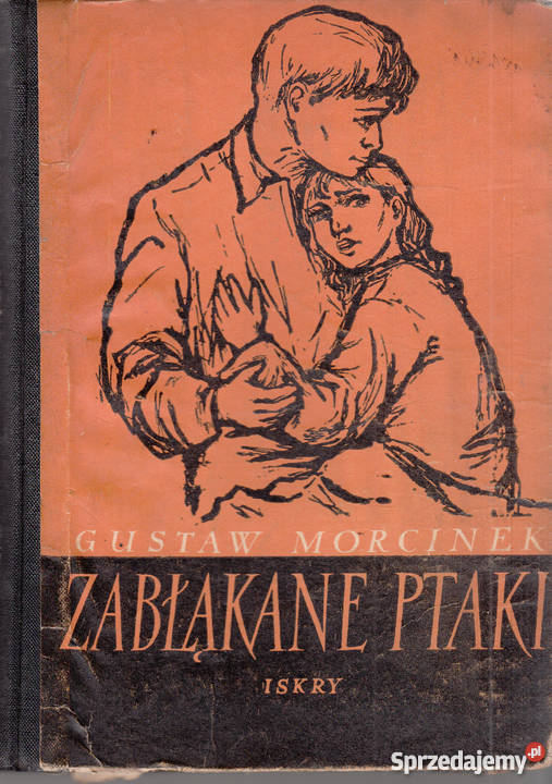 03001 ZABŁĄKANE PTAKI GUSTAW MORCINEK Czyrna