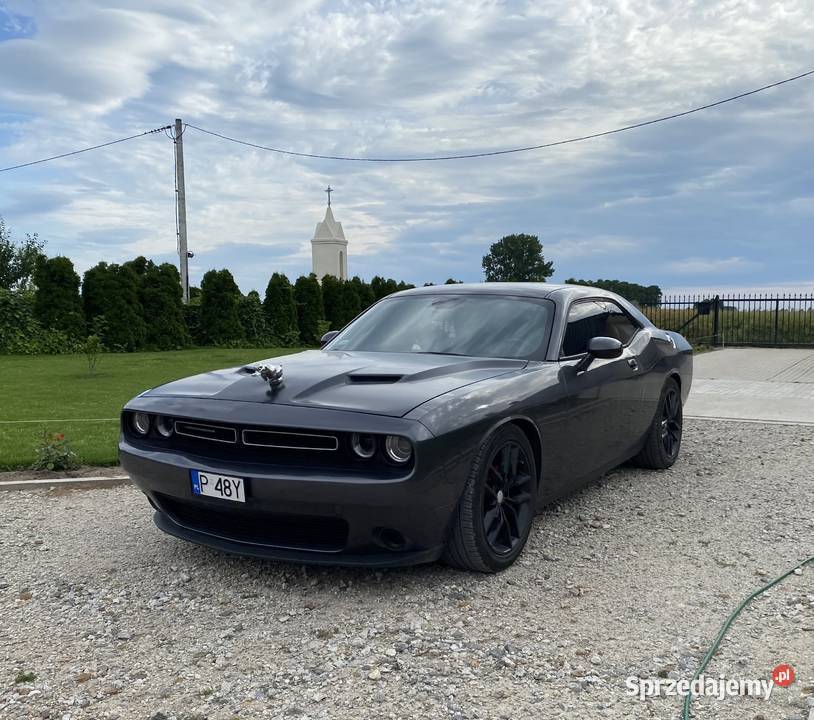 Dodge challenger Janczewy