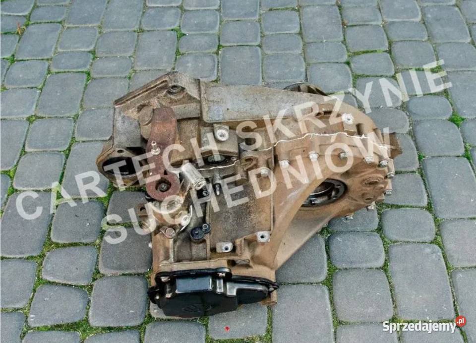 Skrzynia Biegów VW T5 19 TDI Gwarancja Suchedniów