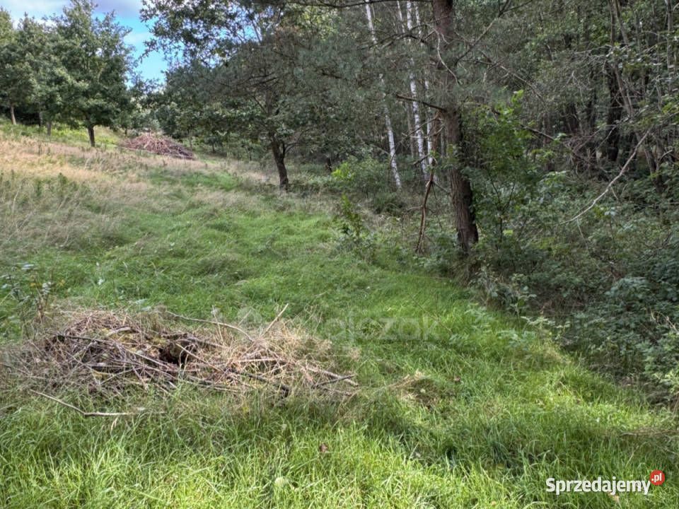 Działka Koleczkowo Jeziorna 5800m2 utwardzona