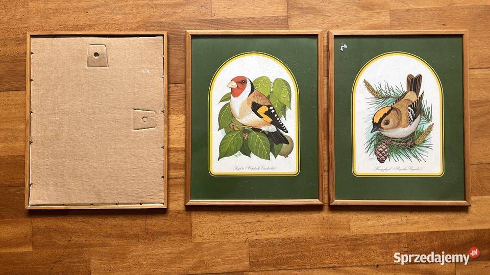 Obrazek z ptaszkiem do powieszenia W ramce Gdańsk