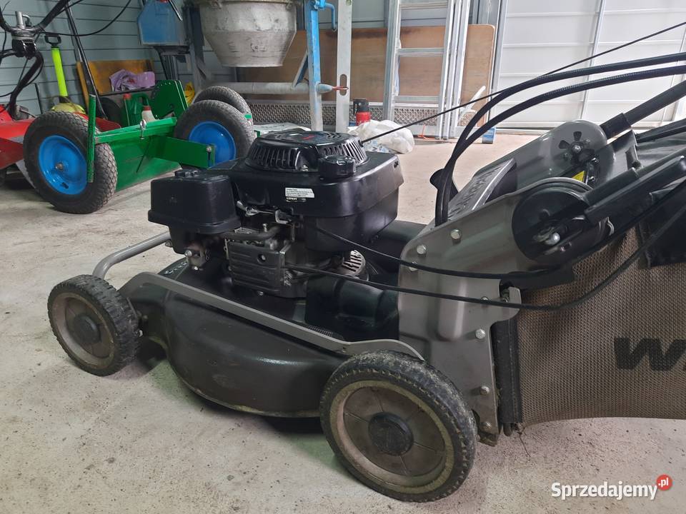 Kosiarka spalinowa Weibang WB 537SCV wał kardana Pozostałe Opole sprzedam