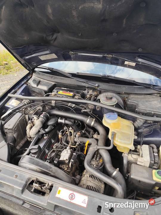 Audi A4 B5 19 TDI 110 AFN 110KM Rudziczka