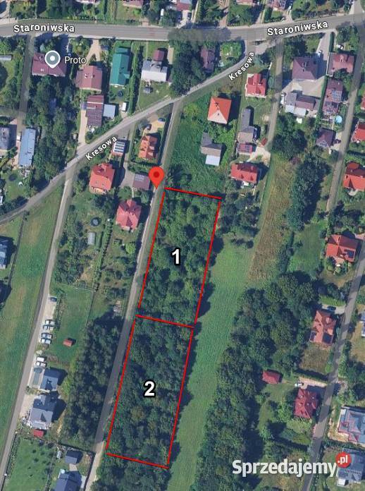Drzewo w zamian wycinkę Staroniwa podkarpackie Rzeszów