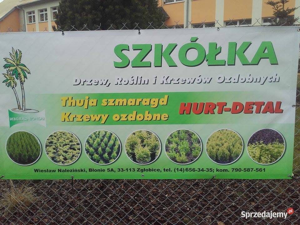 Tuje kuliste berberysy jalowce plozace Tarnów