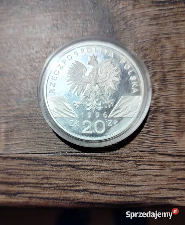 Srebrna Moneta kolekcjonerska 20 z 1996r Jeż Toruń