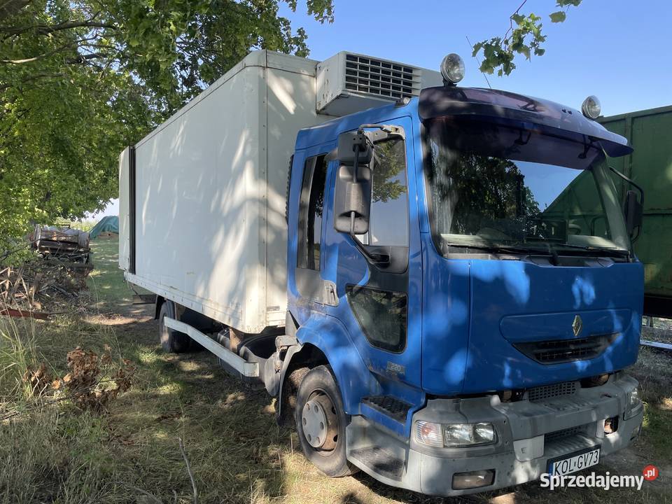 Renault midlum chłodnia ZAMIANA Bychawa