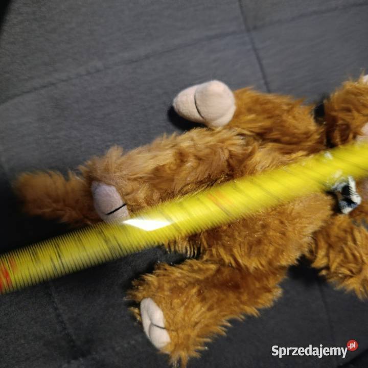 pluszowa zabawka małpka Poznań