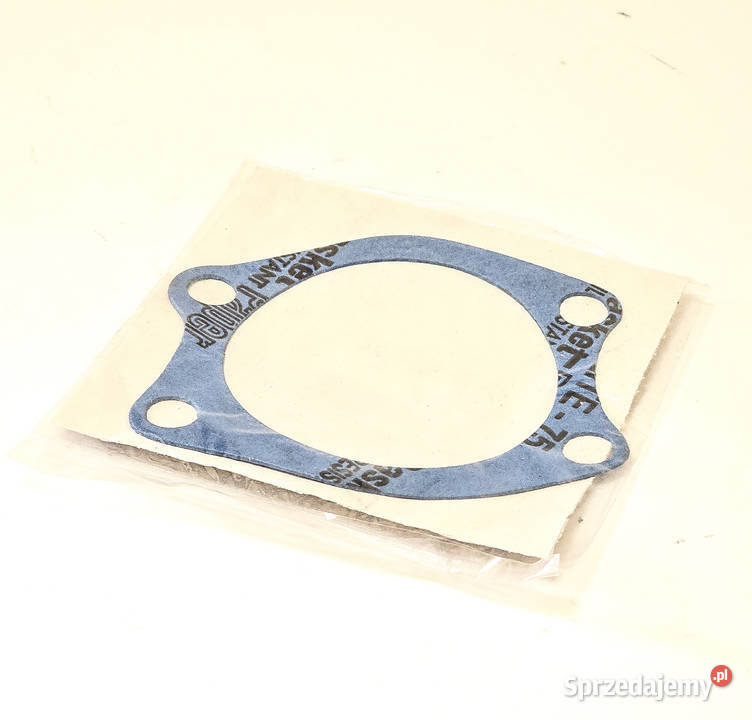 Pompa Wody RENAULT MANITOU 74718041 0123100200 Tyczyn