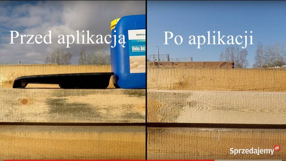 Sinizna Barwica Zasinienie Grzybica Drewna