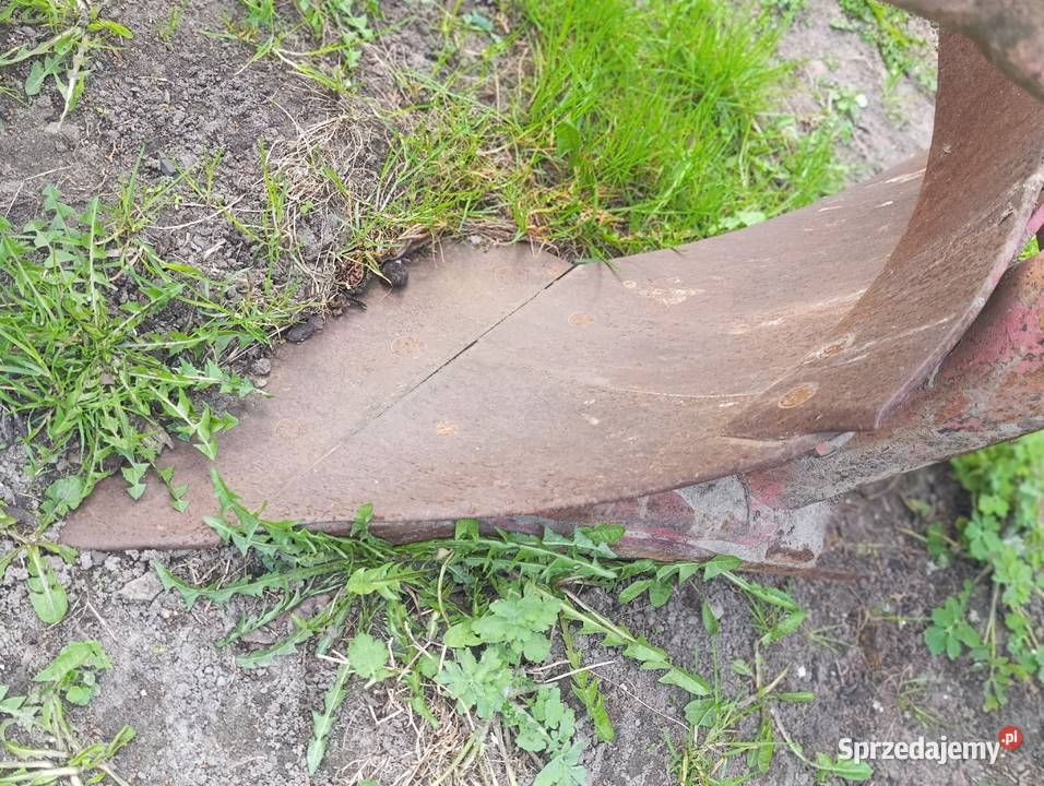 Pług 3 skibowy Grudziądz Grodziec