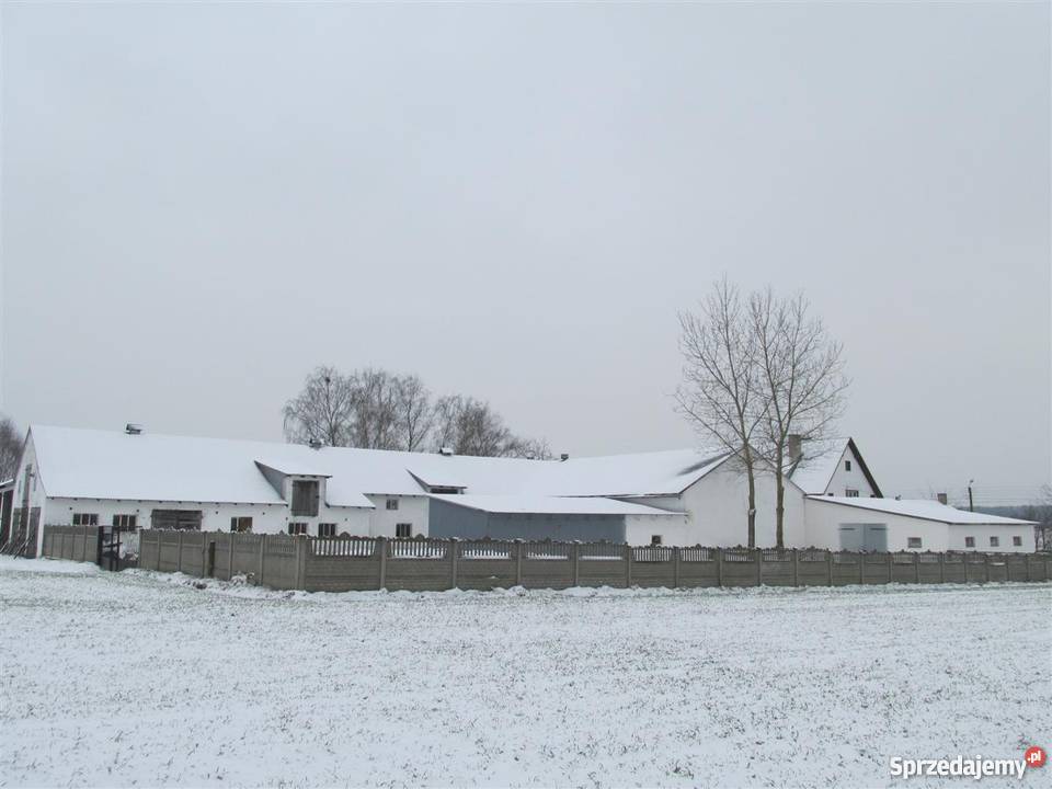 Sprzedam gospodarstwo rolne z zabudowaniami Dobra