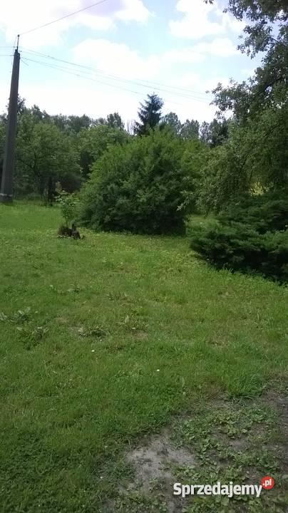 Ogródek działkowy ROD Przyszłość