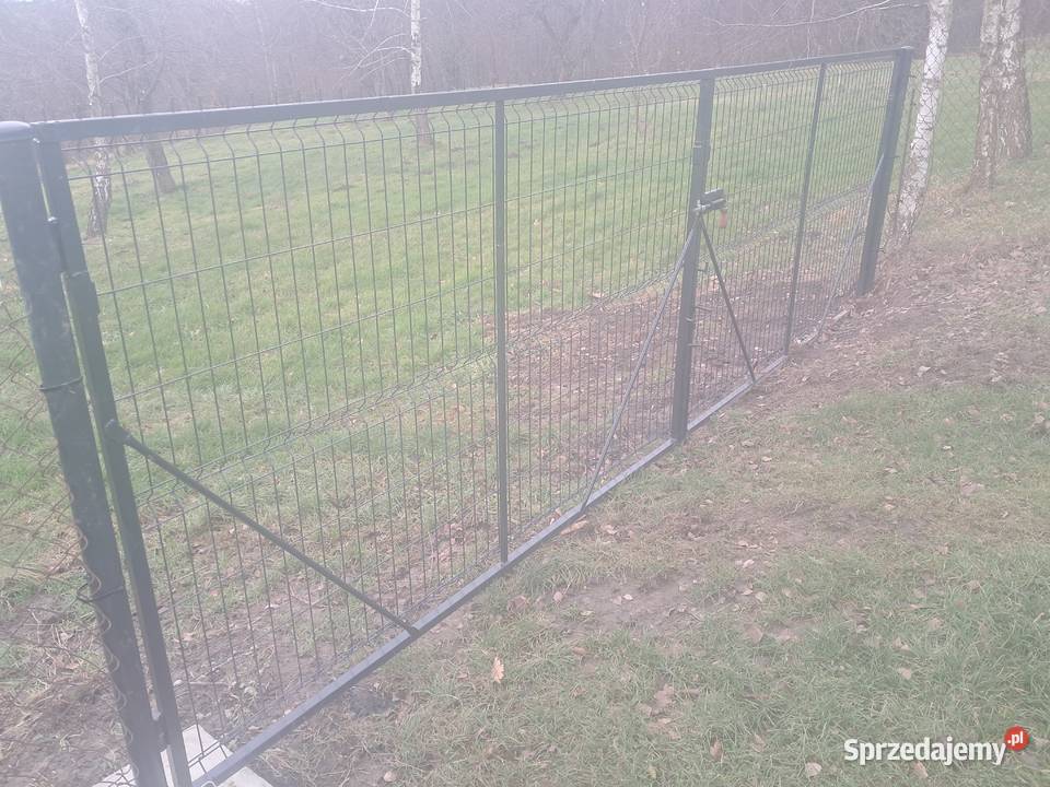Brama dwuskrzydłowa panelowa Ogrodzenia i bramy małopolskie Kierlikówka