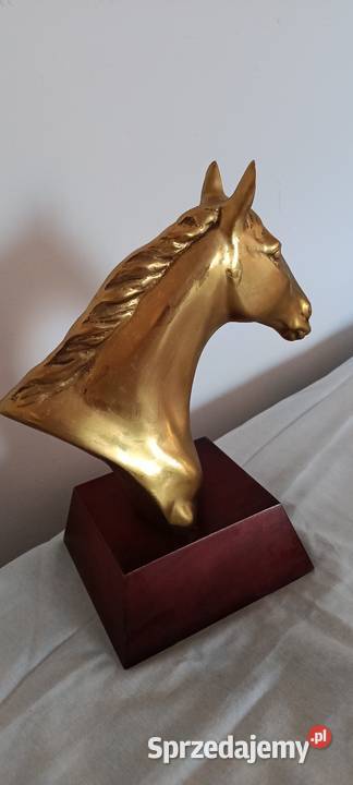 Głowy konia wykonane z mosiądzu Tarnów