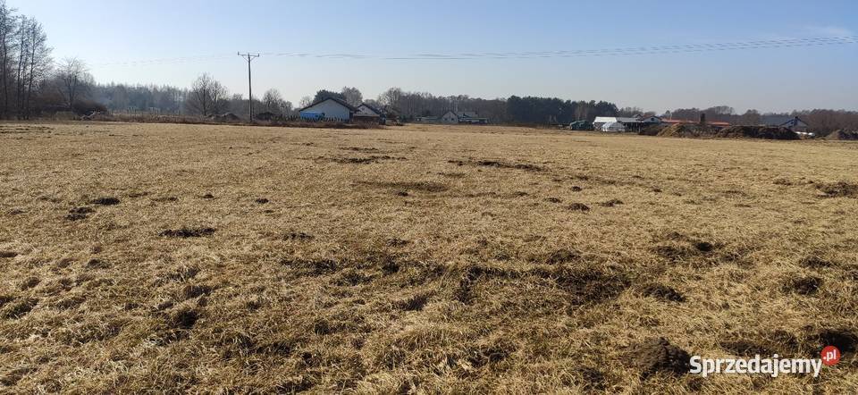 Działka budowlana kopanino 40m kujawsko-pomorskie