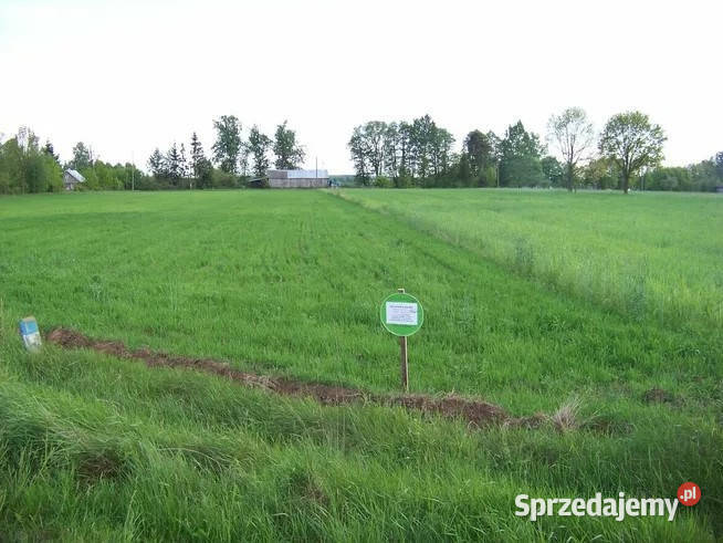 Sprzedam działkę powiat sokołowski Skrzeszew