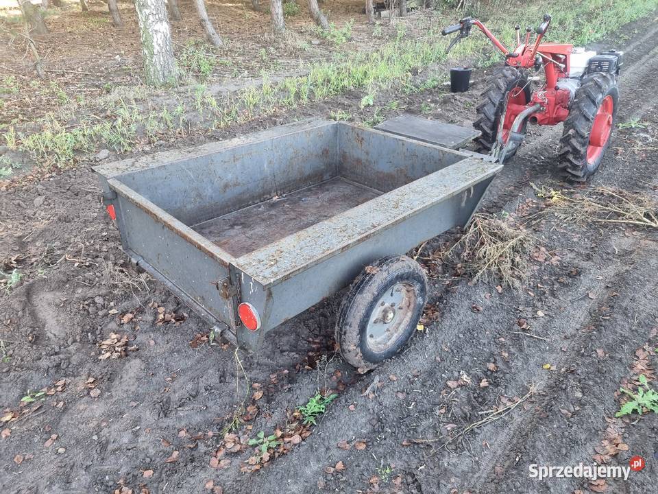 Dzik białorus 09H honda GTX270