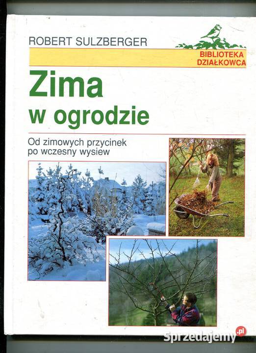 Zima w ogrodzie Robert Sulzberger Szczecin sprzedam