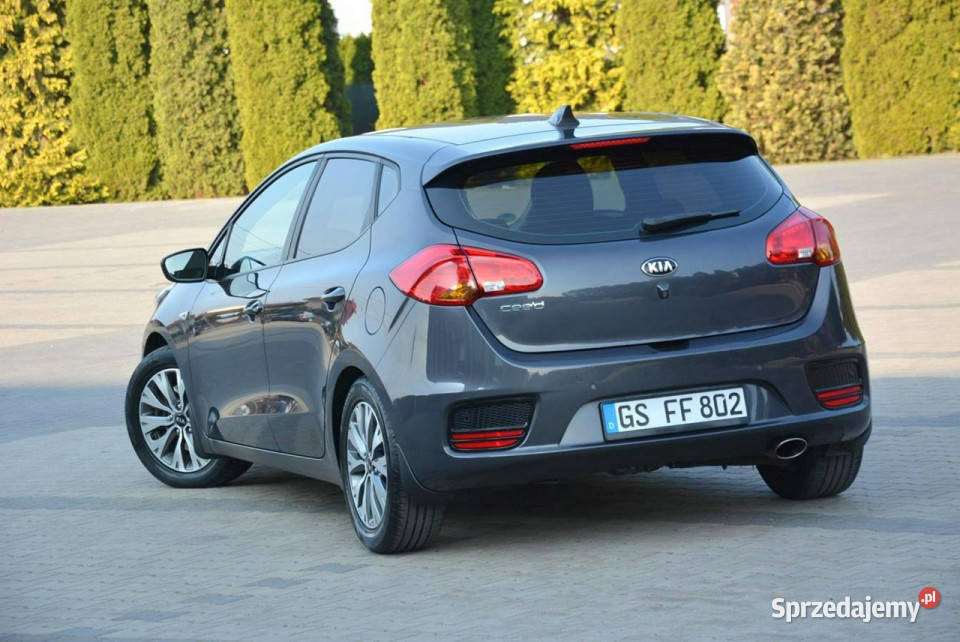 Kia Ceed 2017R Lift Duża Navi Kamerac Parktronic isofix Kia mazowieckie Ostrów Mazowiecka