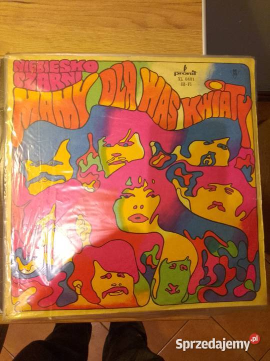 Płyty winylowe orginały płyta winylowa Pyrzyce