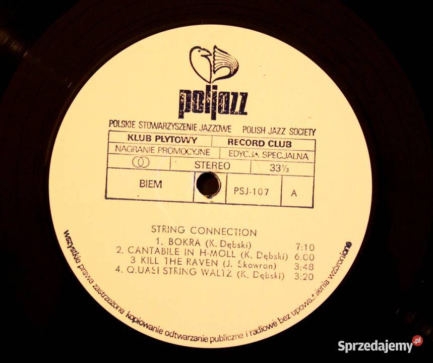 String Connection Workoholic Szczecin
