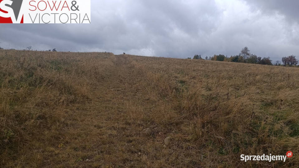 Malownicza działka na obrzeżach Walimia Walim