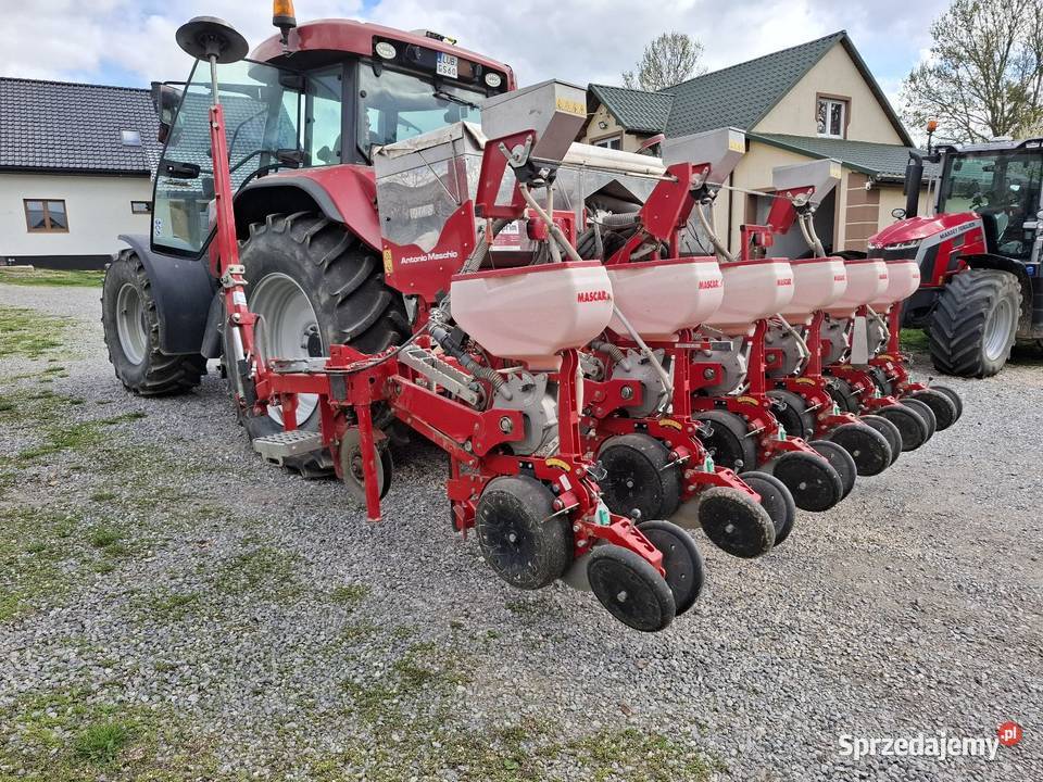 Siewnik do kukurydzy buraków rzepaku nieuszkodzony Siewniki i sadzarki lubelskie Lublin