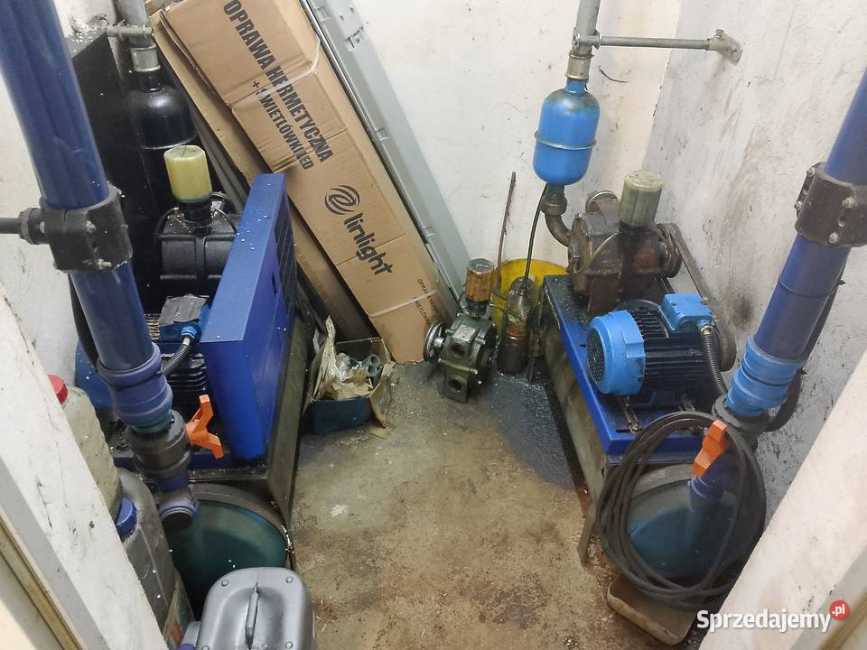 Hala udojowa de laval rybia ość 2x7 stacja