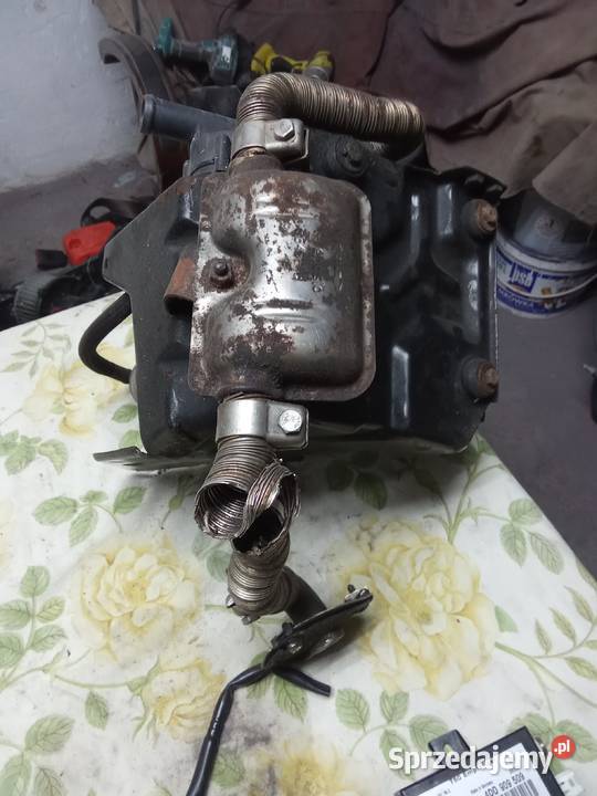 Webasto diesel VW audi osobowe Nowe Miasto Lubawskie