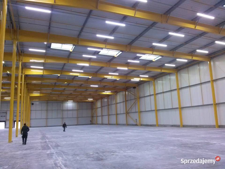 Moduł Przemysłowy LED 50W 1000mm Wola Gołkowska sprzedam