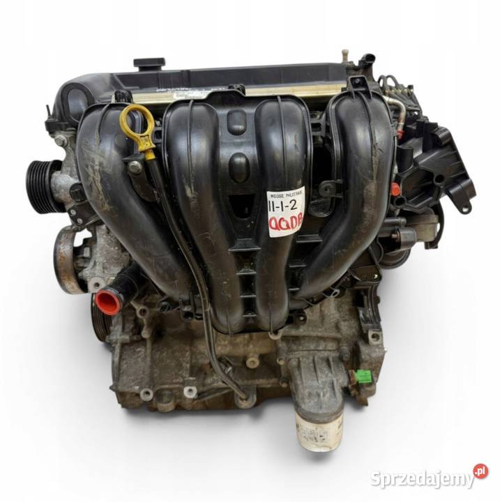 SILNIK QQDB Ford Focus II MK2 C C 18 16V 125 Chełm sprzedam