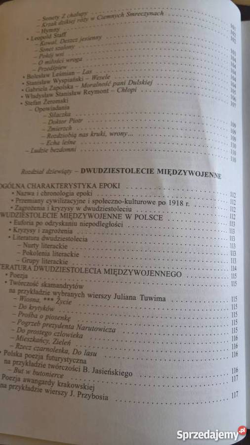 Repetytorium z jpolskiego szkoła ponadgimnazjalna dolnośląskie