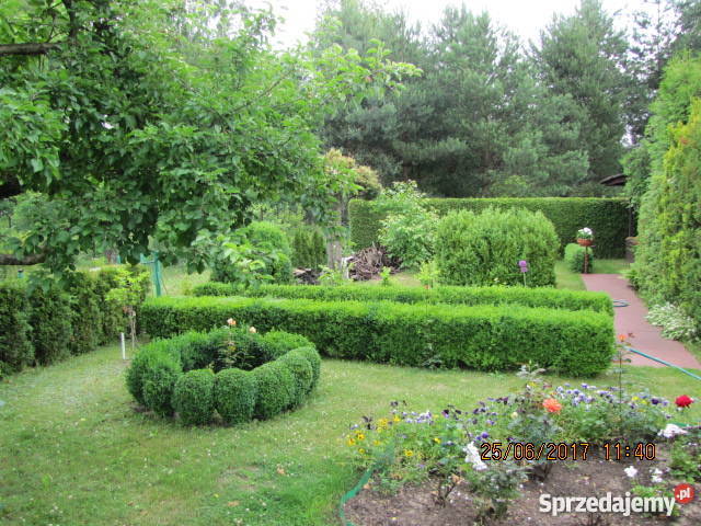 Sprzedam działkę rekreacyjną w Komorowie prąd Grunty i działki Komorów