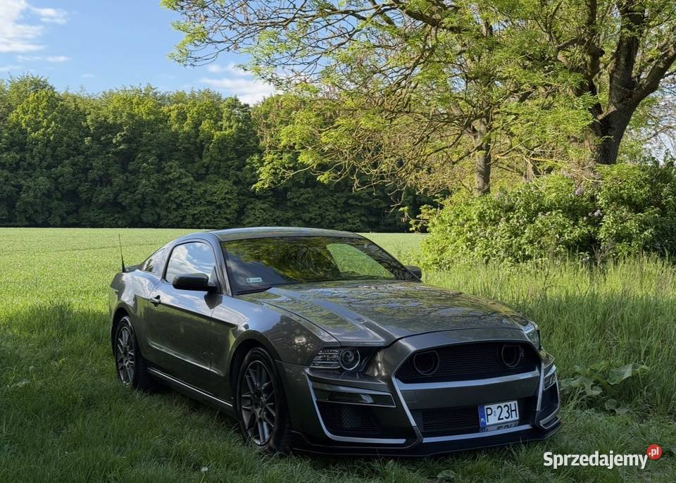 Mustang Ford 37 S197 LPG 309 pony package nawigacja Szczecin