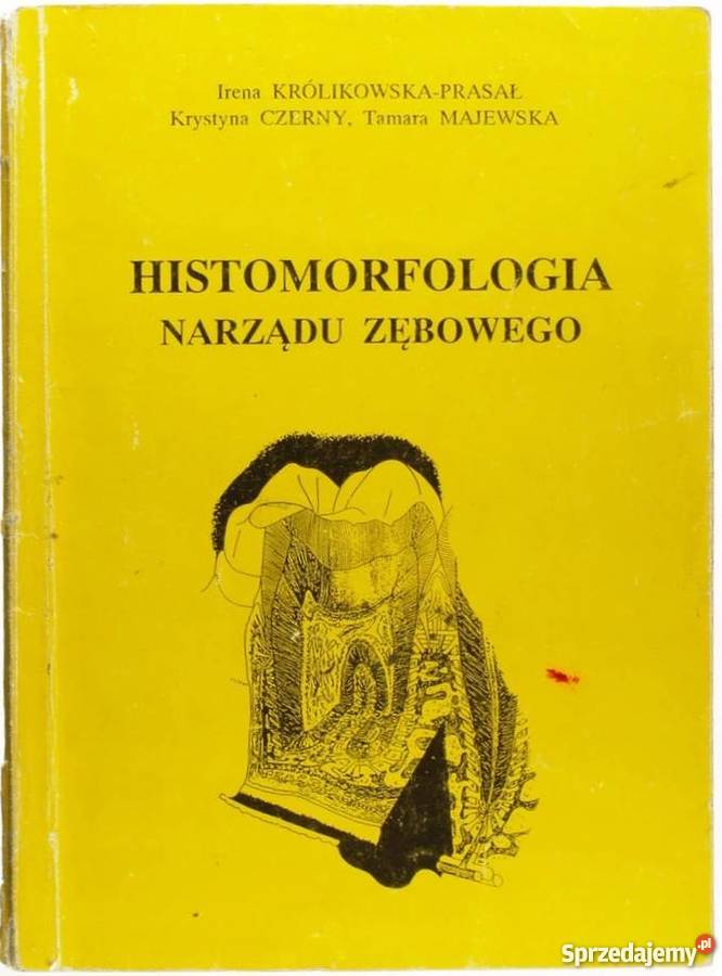 HISTOMORFOLOGIA NARZĄDU ZĘBOWEGO Zielona Góra