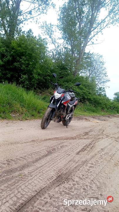 Motor 125 cc zipp Wyszonki-Wypychy
