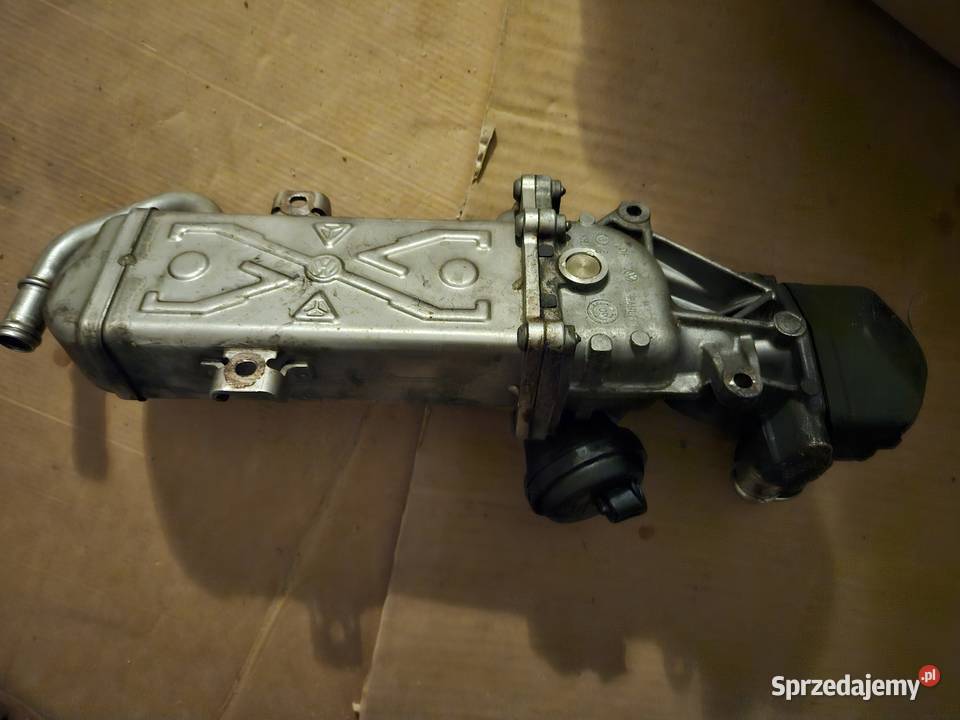 Egr vw golf 6 16 tdi wahler osobowe Recyrkulacja spalin EGR kujawsko-pomorskie