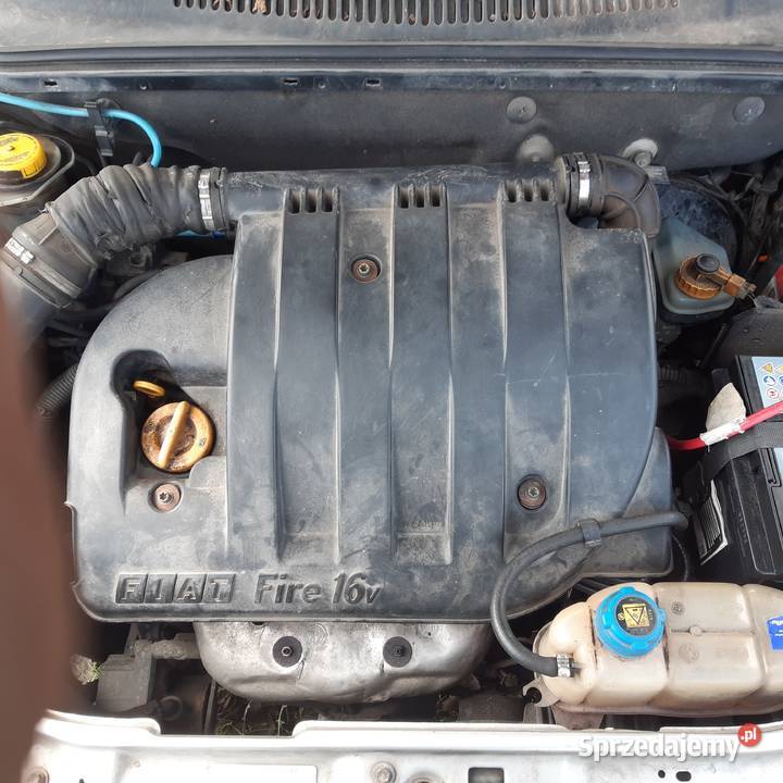 Fiat Albea 12 16v 03r całość części Biała Podlaska