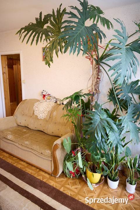 Rozkładania sofa 170cm Zawiercie